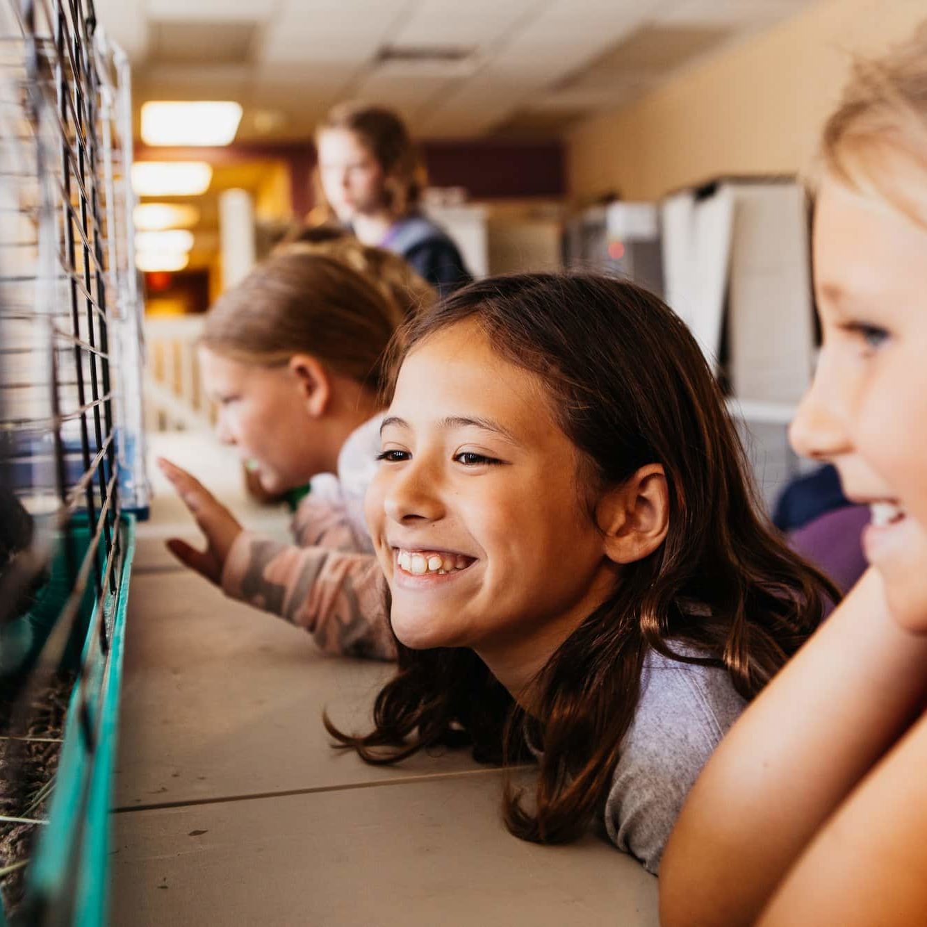 486390812 1081286190705003 8617145734771015641 N