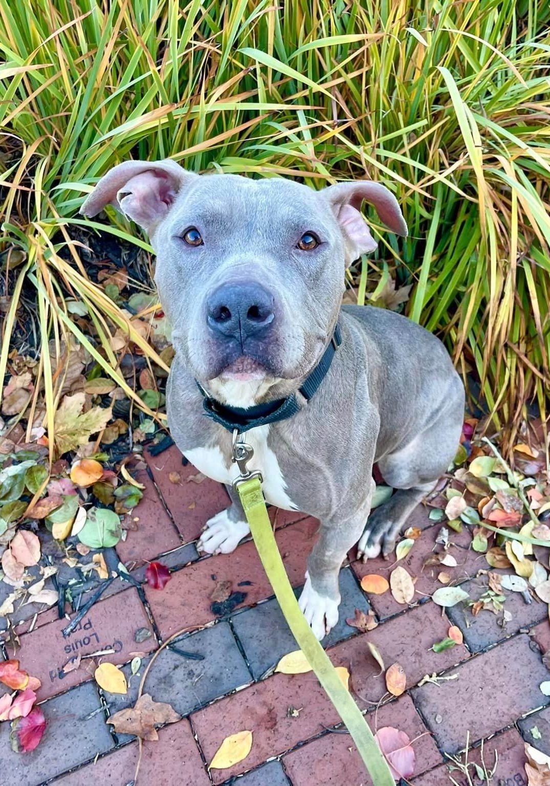 486706283 1080453267454962 1351277506576228171 N