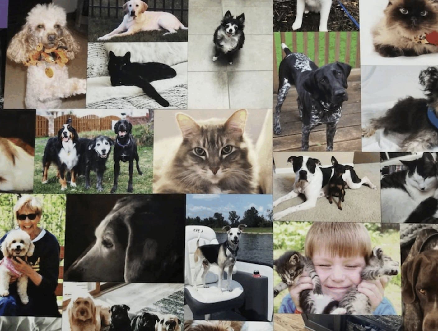 487900954 1087432523423703 308096653134633667 N