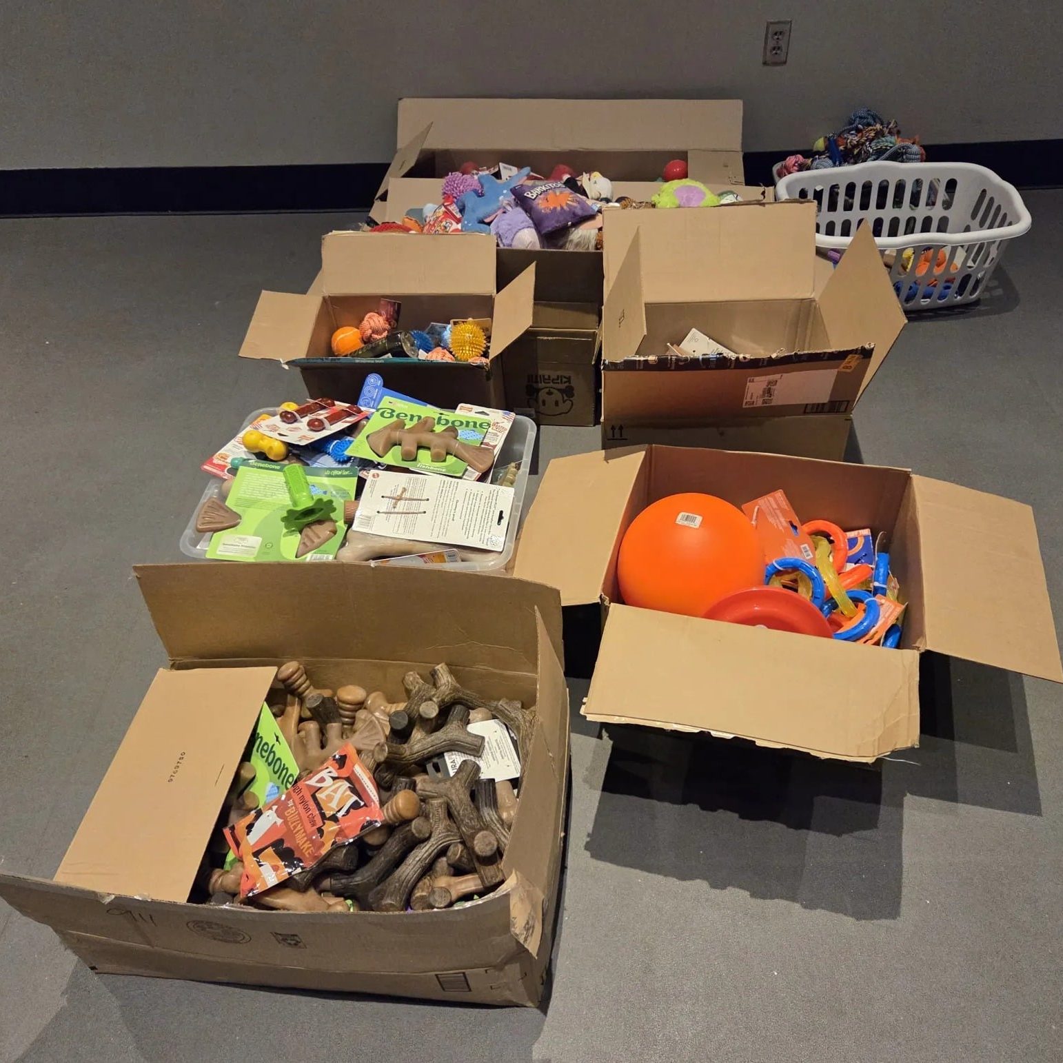 492542324 1106574708176151 696754104681235799 N