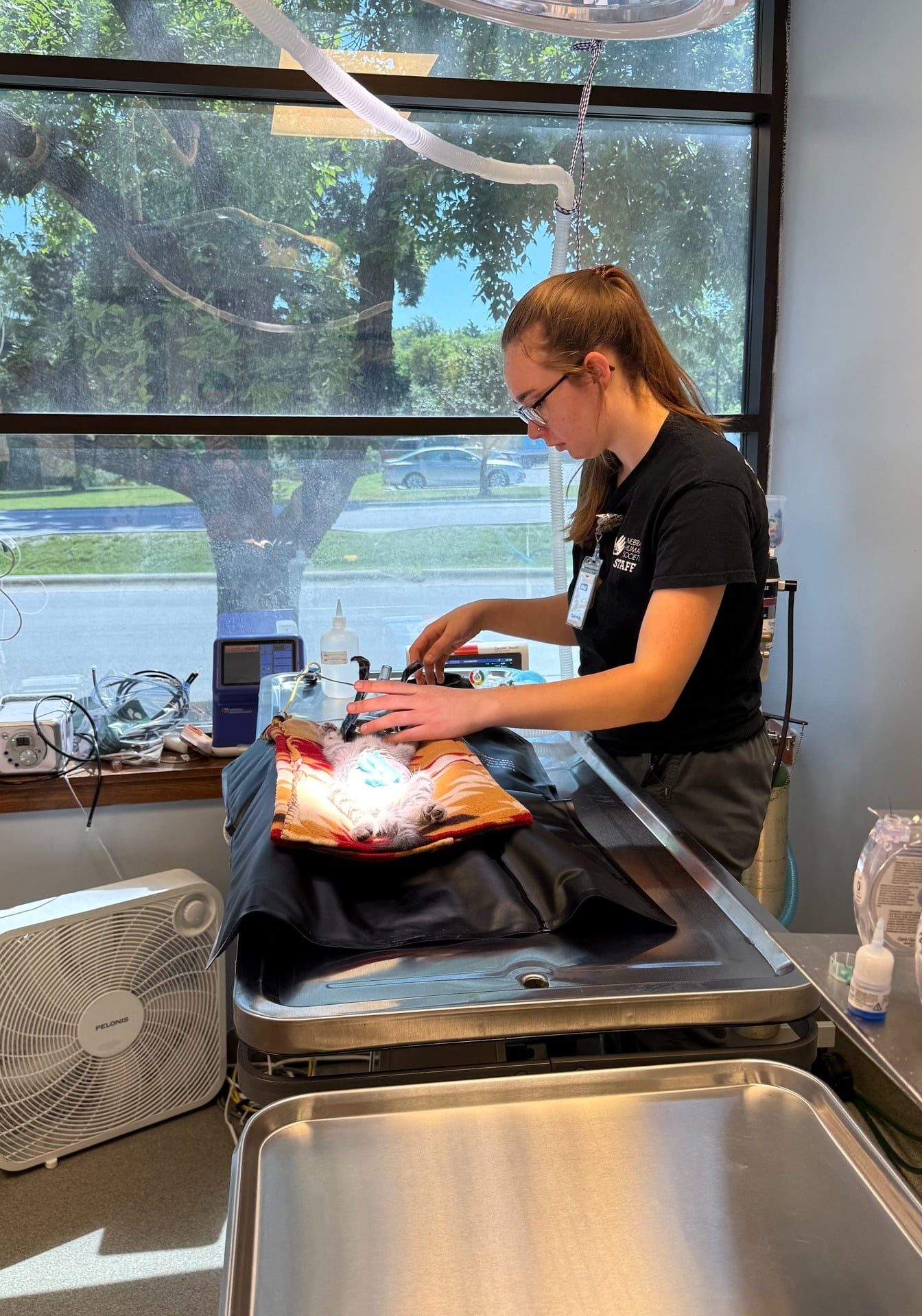 509603777 1151170047049950 3837354780024786480 N