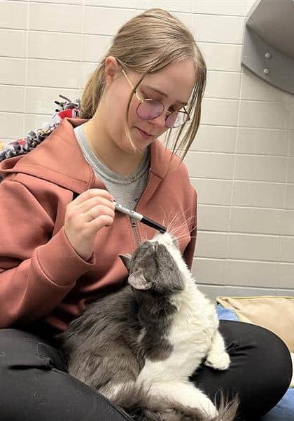 515437593 1161047302728891 5495217721593538924 N