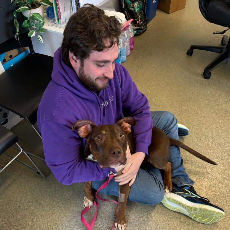 shelter employee sitting on floor with brown dog in his lap