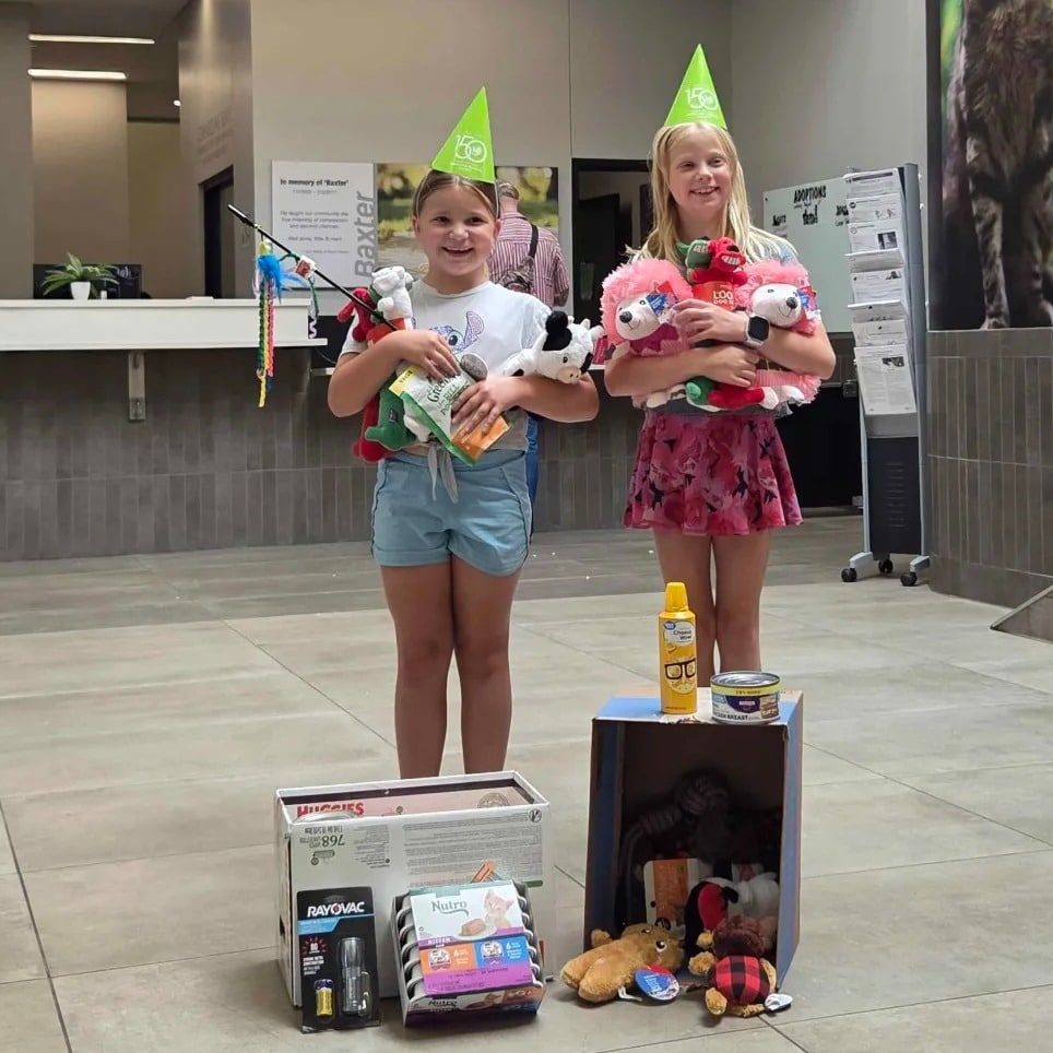 528331250 1190017593165195 6740248141157147336 N