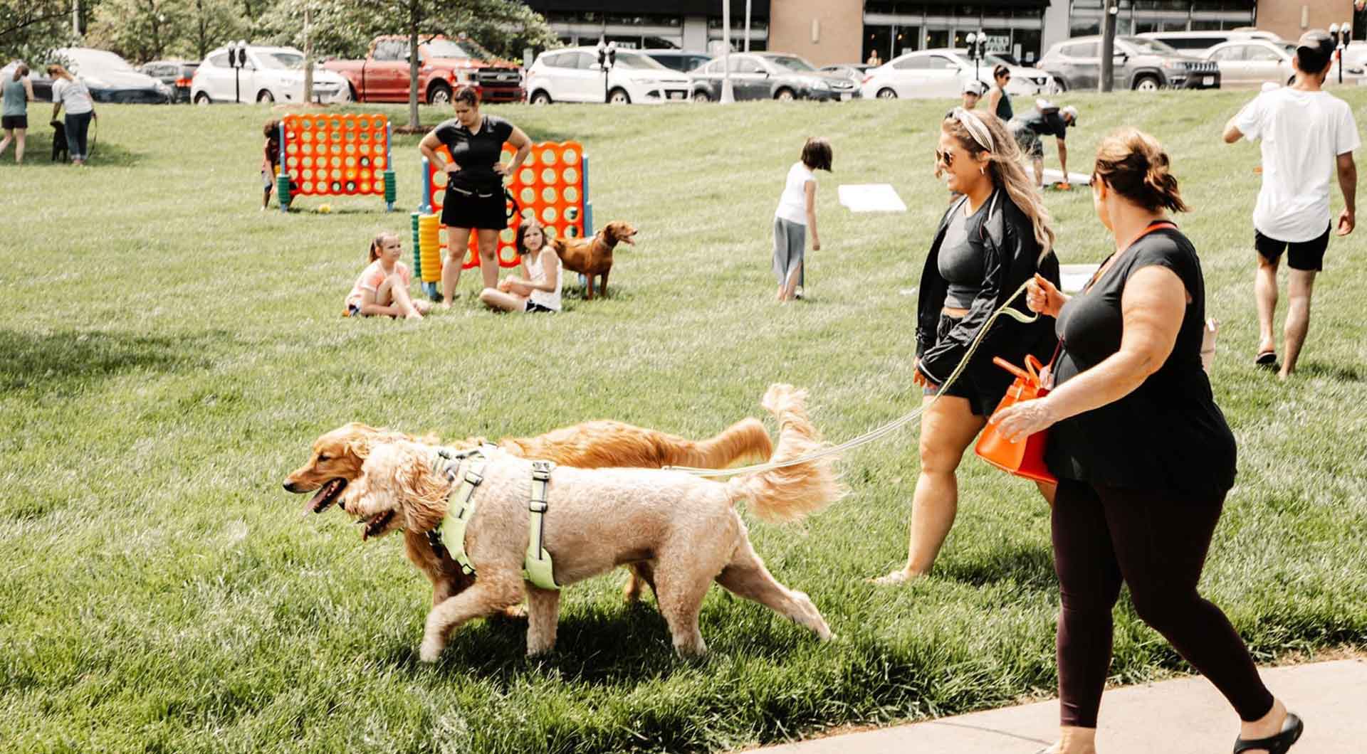 BarkAndBurn1920x1060