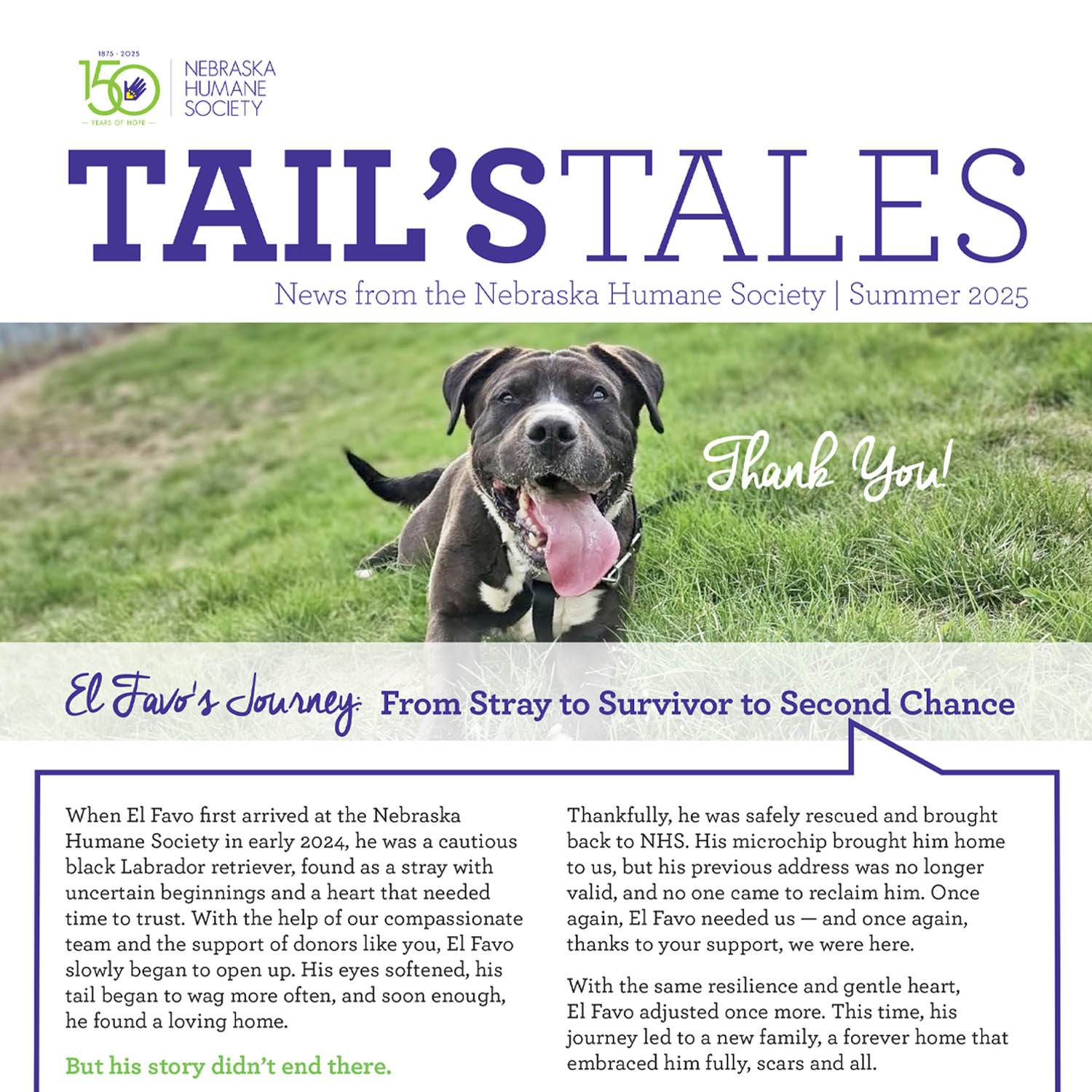 Tail's Tales Summer 2025