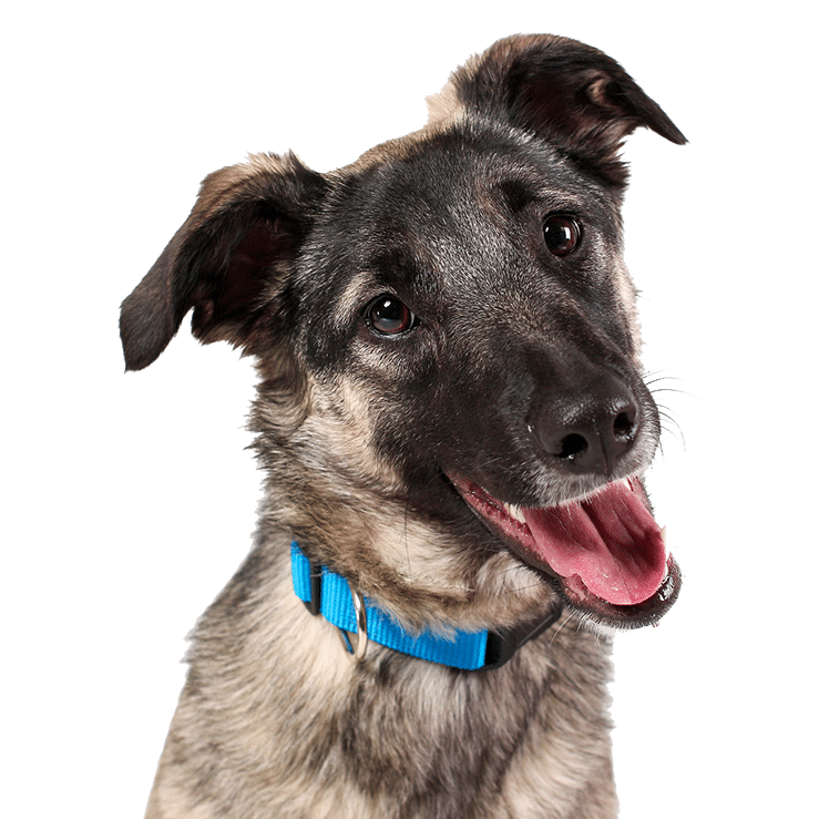 GettyImages 1369946698