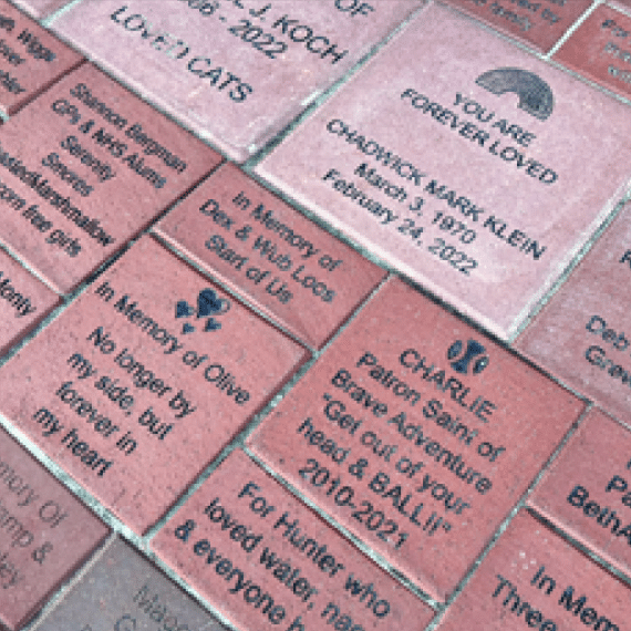 Screenshot 2025 08 14 At 12.35.34 PM