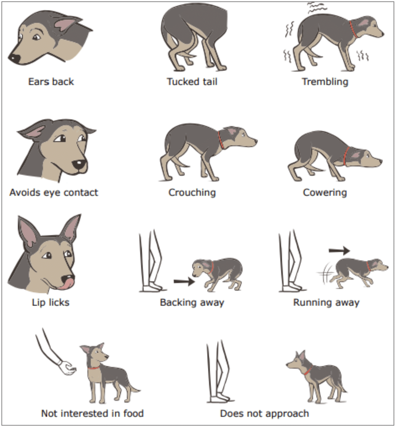 Screenshot 2025 09 17 At 10.46.17 PM