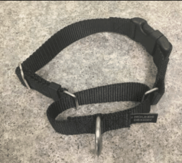 Screenshot 2025 09 17 At 6.42.10 PM