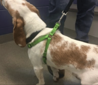 Screenshot 2025 09 17 At 6.42.24 PM