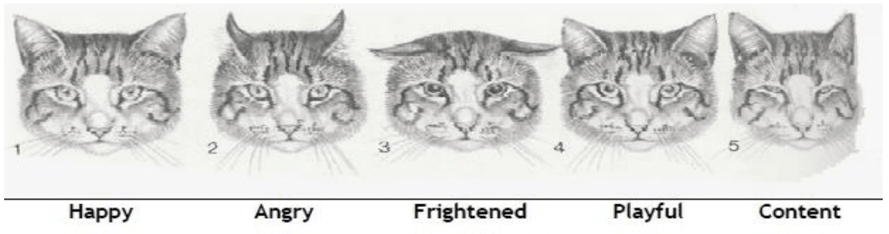 Screenshot 2025 09 18 At 5.22.53 PM