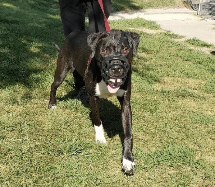 Screenshot 2025 09 18 At 9.21.51 AM