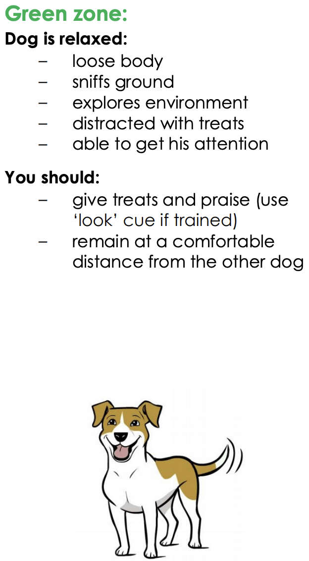 Screenshot 2025 09 18 At 9.27.39 AM