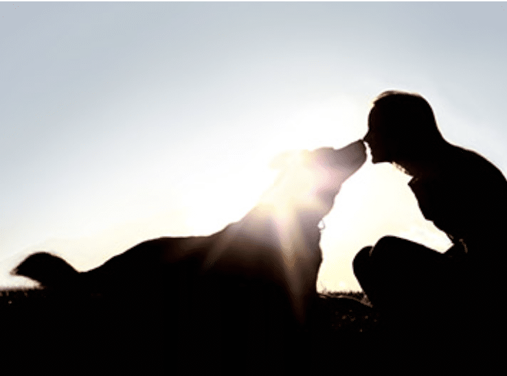 Silhouette of dog with person