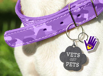 Vets Get Pets Event Thumbnail Small